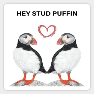 Stud Puffin - Stud muffin - Puffin couple - Puffin art - couple art - bedroom art - Puffin lovers Sticker